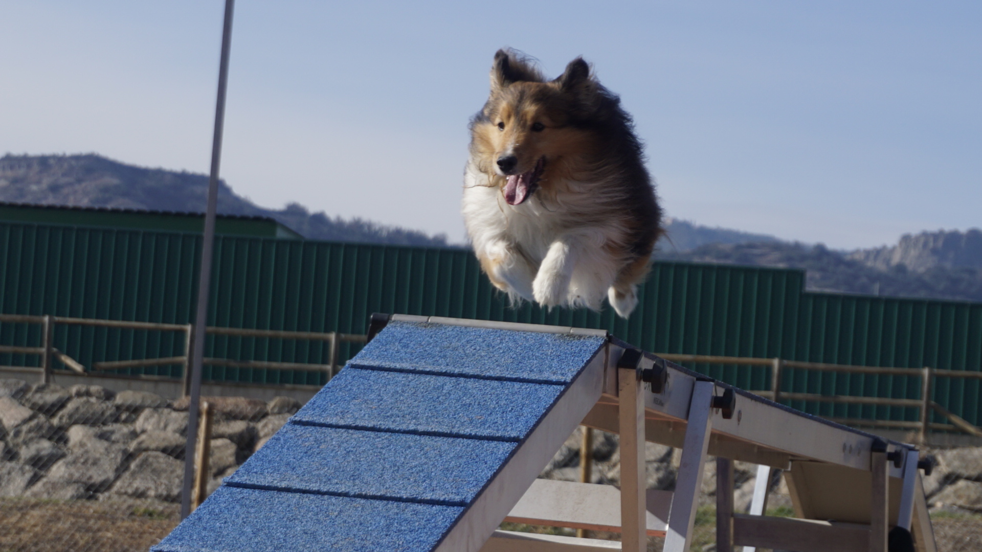 Pasarela Agility