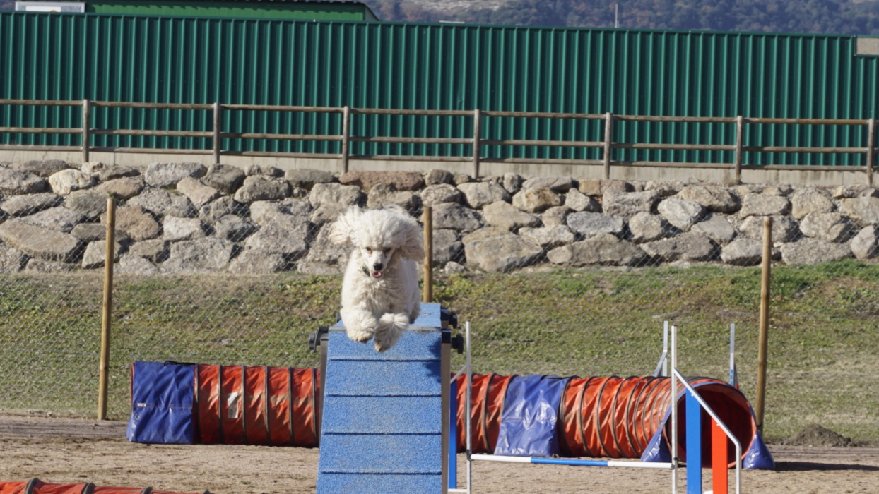 Zones de contacte Galican